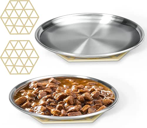 Stainless Steel Cat Dishes for Food and Water Bowls for