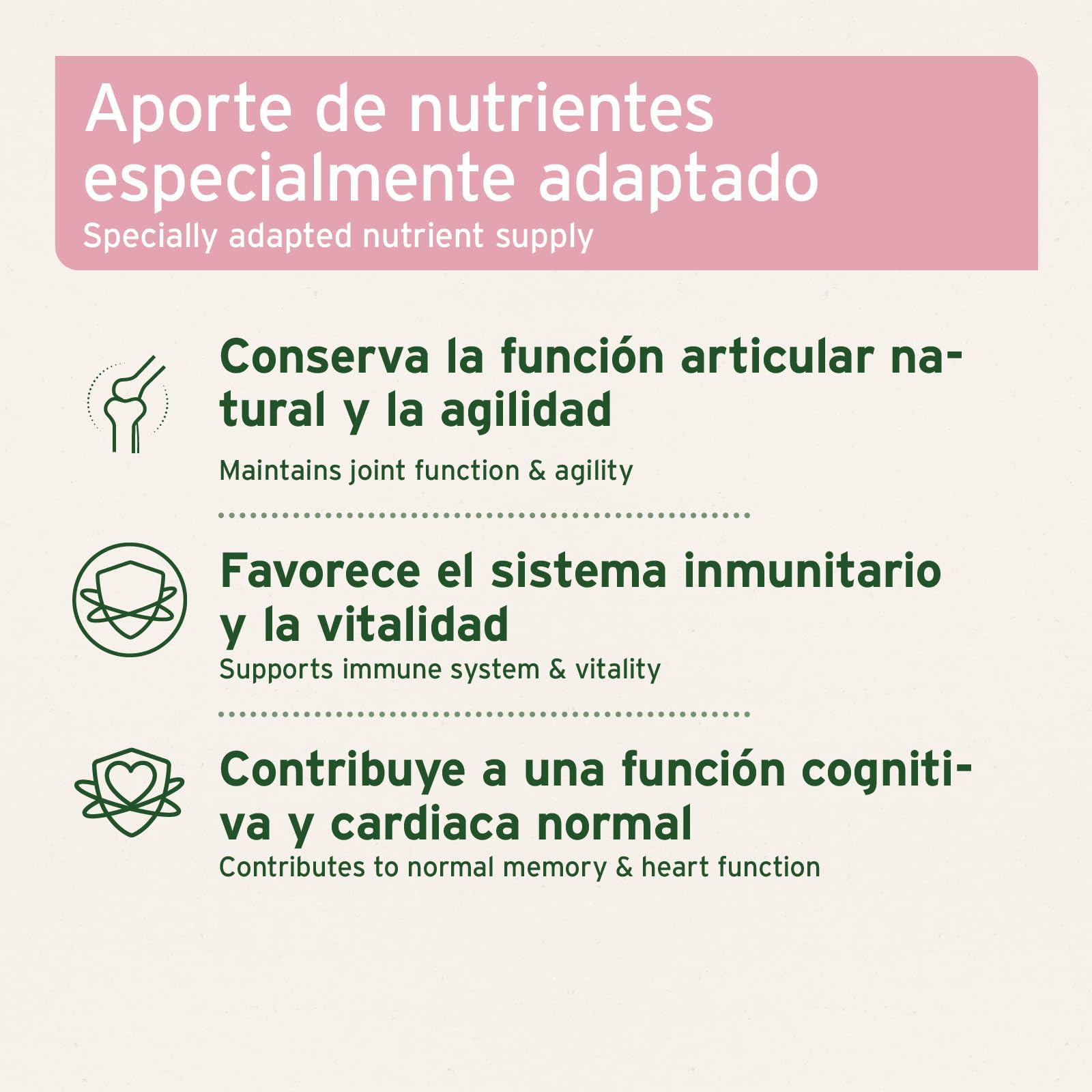 AniForte Senior Active en Polvo 250 g para Perros Mayores - minerales y vitaminas para Perros, Ayuda a la Memoria y a la función cardíaca, mejillón de Labios Verdes para la vitalidad y la Agilidad