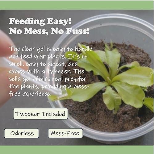 Miniatura 4 de Venus - Alimento para plantas carnívoras de gel sólido, 2.5 onzas, diseñado para trampa para moscas Venus, rocío de sol, plantas de jarra y otras