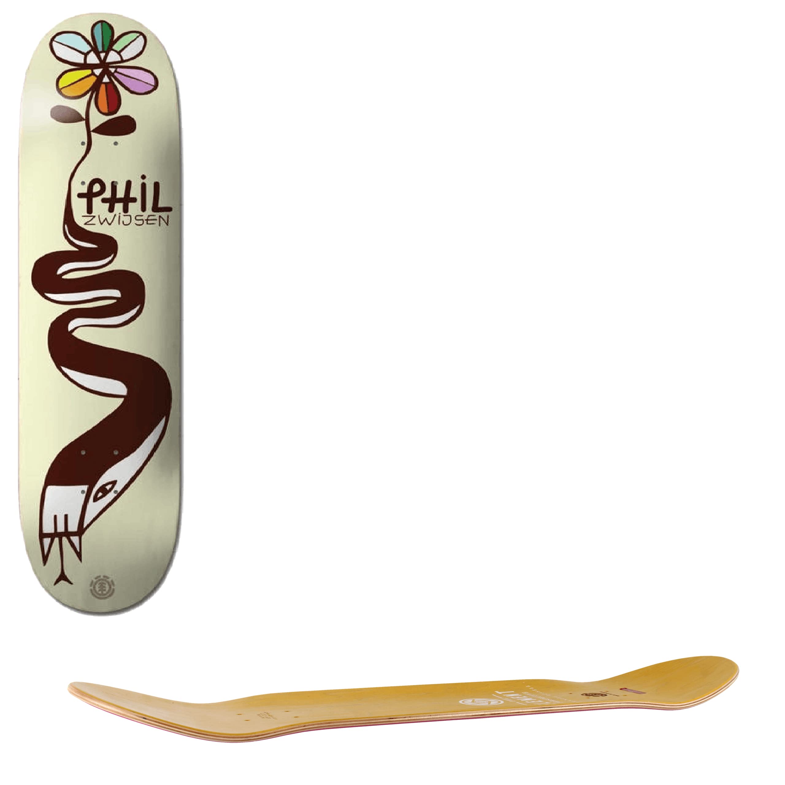 Element Earth Rev Planche de skateboard Phil Z 21,3 cm
