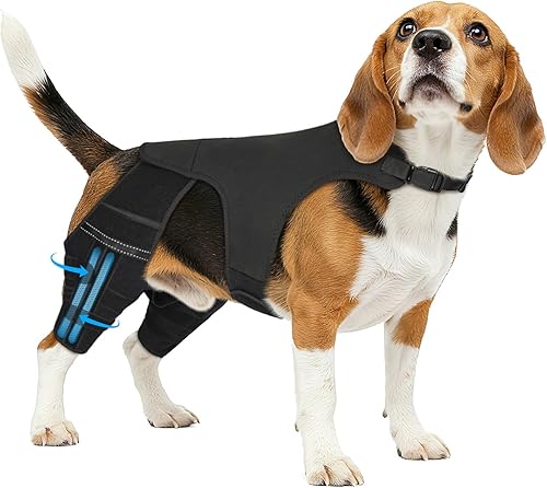 Miniatura 1 de Rodillera para perro para pierna trasera desgarrada, 4 estabilizadores, soporte de cadera ajustable para reducir el dolor, lesiones de ligamento y