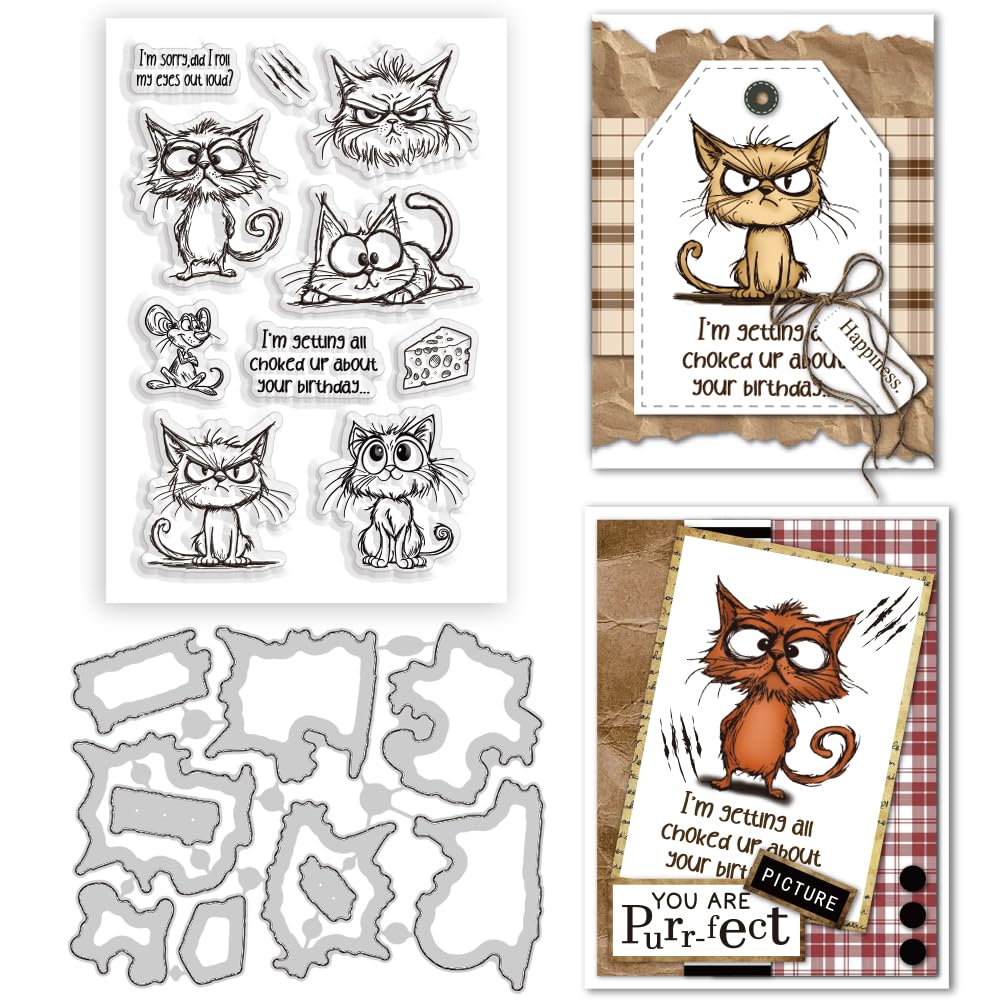 Tampons transparents réutilisables en silicone pour réussir vos motifs de scrapbooking