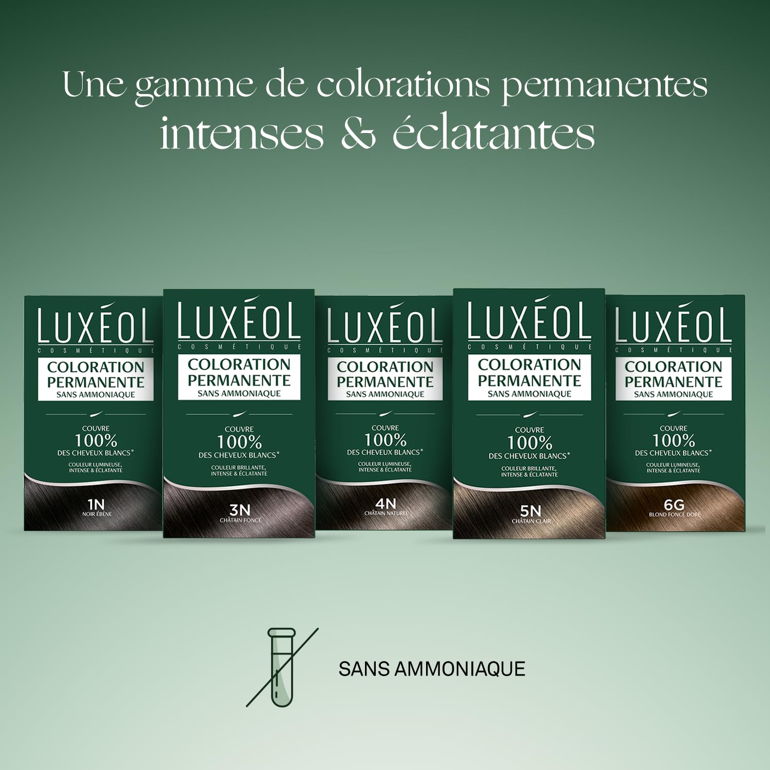 Luxéol - Coloration Permanente 1N Noir Ébène - Sans Ammoniaque - Couvre 100% des Cheveux Blancs(1) - Longue Durée(2) - Couleur Lumineuse Éclatante Intense - Testée & Approuvée - 60ml, 60ml,12ml