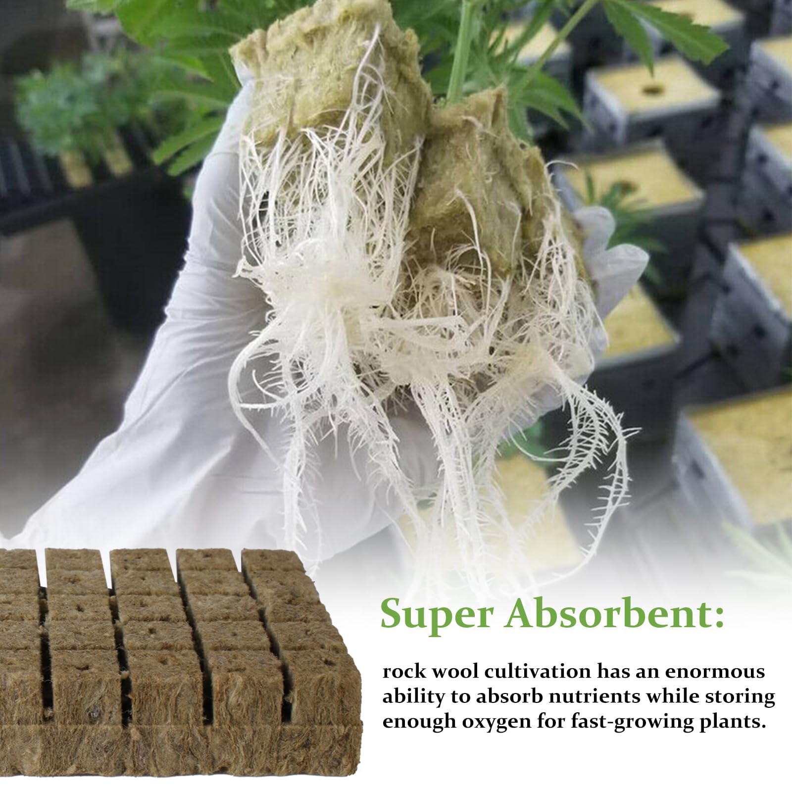 Cubos de Lana de Roca, 50 Pieza Cubos de Cultivo Hidropónicos, Tapones de Plantas de Lana de Roca, Lana de Roca Hidropónicos Cubos, Bloque de Plántulas, Cubo de Lana de Roca sin Suelo(25x25x40mm)