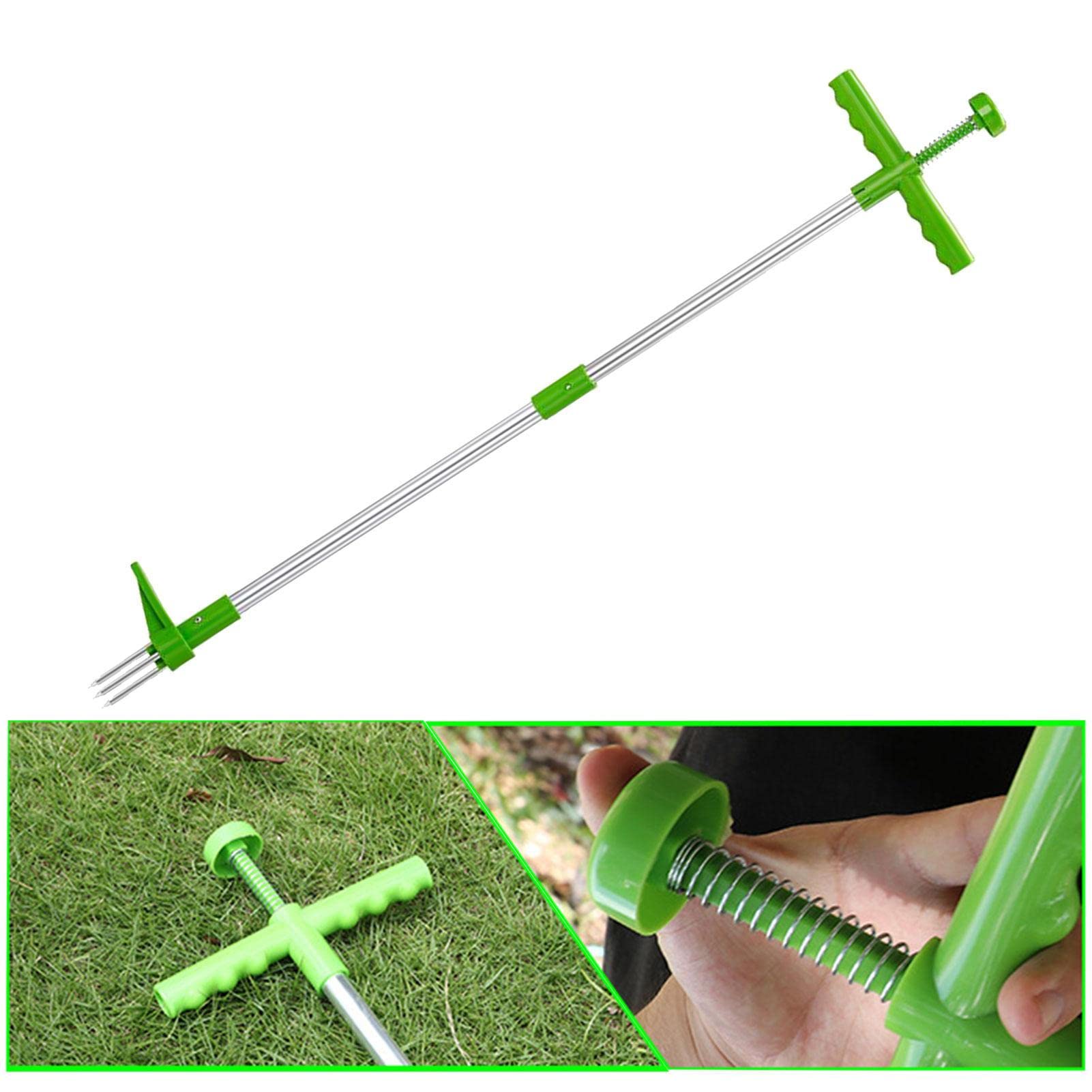 Attrezzo Per Diserbo Manuale OCCOUMR - In Acciaio Inox Con Manico, Per Denti Di Leone E Erbacce | Giardinaggio Preciso - Foto 1