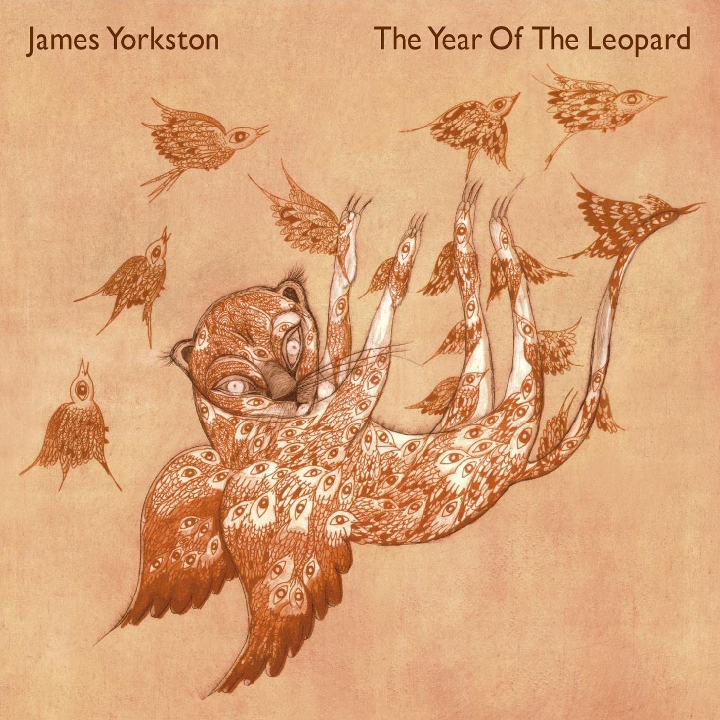 James Yorkston Year of the Leopard Double LP Vinyl NEW
