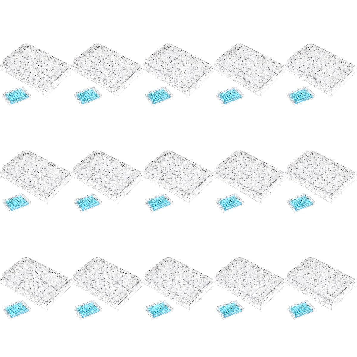 Piastra In Plastica Piastra Per Coltura Cellulare Da 24