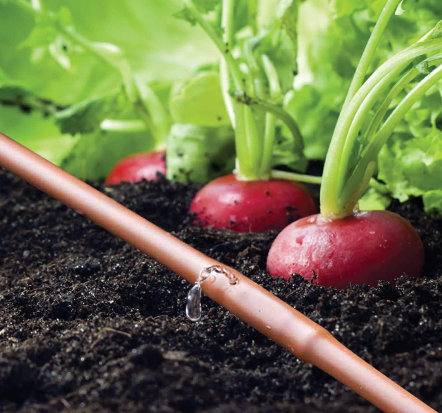 Big Sale Rain Drip R567DT Drip Watering Vegetable Garden Kit