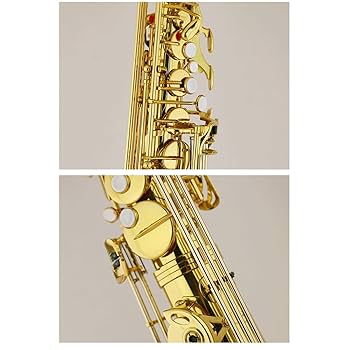 アルトサックス ゴールド 真鍮製 Selmer Paris 【小串俊寿氏選定品】アルトサックス セルマー