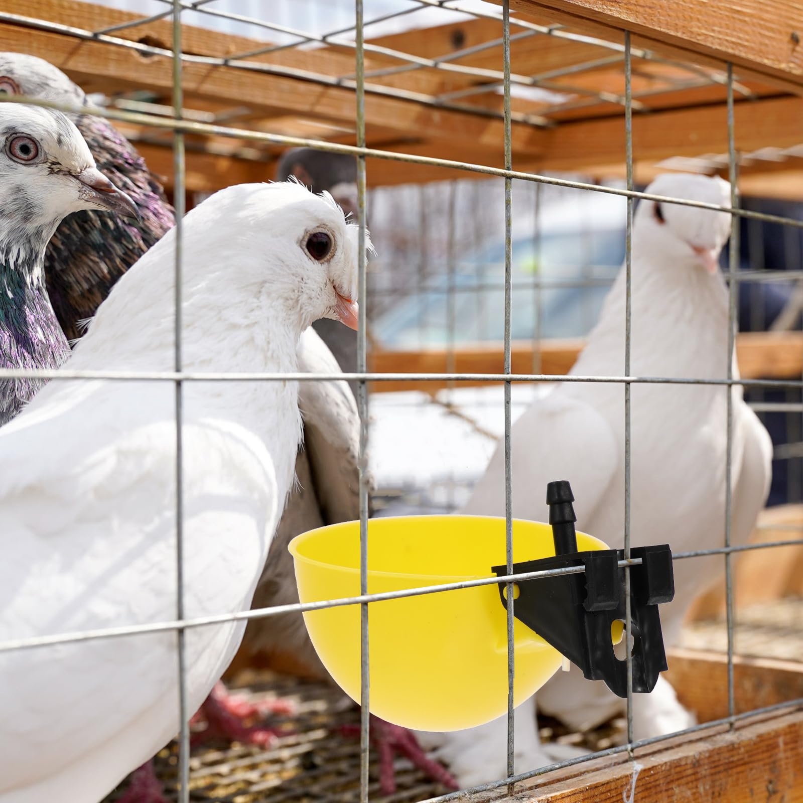 HEALLILY Bebedero Automático para Codornices y Gallinas, 10 Piezas Plásticas Amarillas, Dispensador de Agua para Uso en Granjas