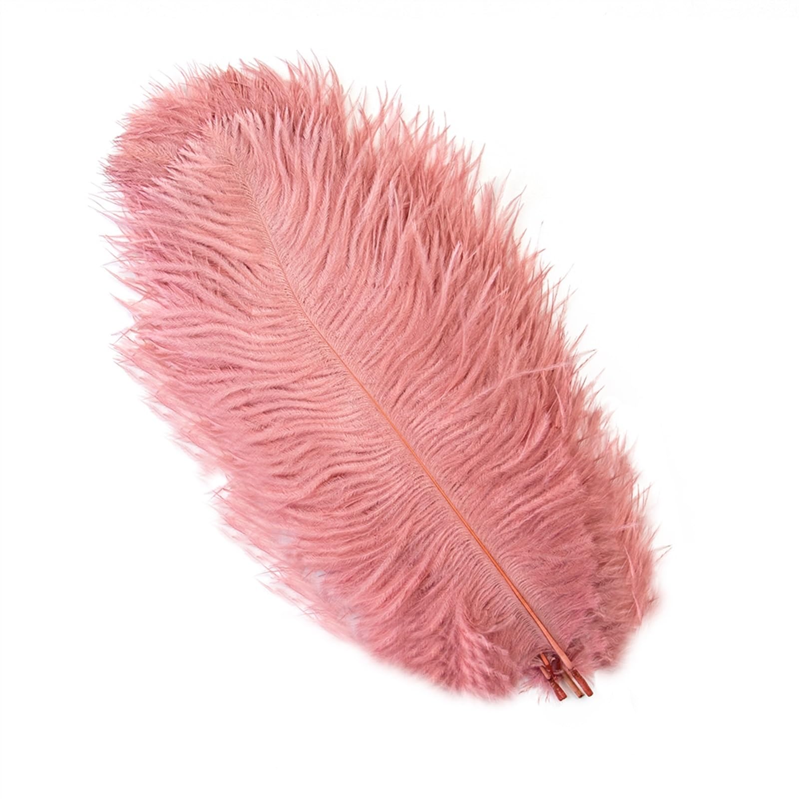 10 Plumas De Avestruz Multicolor (15-60 Cm) - Para Decoración De Bodas, Fiestas, Centros De Mesa, Manualidades Y Disfraces - Colores Vivos