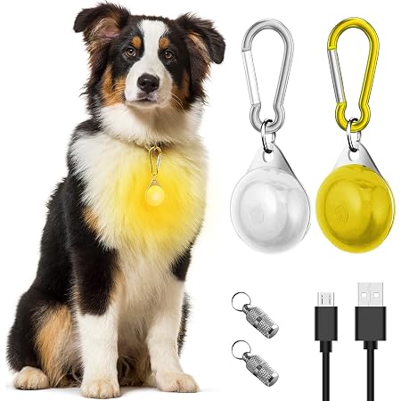 Produktbild von Leuchtie Hund LED Hundelicht Anhänger USB IPX7 3 Lichtmodi Hundehalsband Licht Für Licht Für Schulranzen
