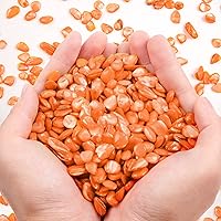 Vista 11 de QICQDRAM Conchas trituradas para manualidades de aproximadamente 1 libra (14.29 oz/14.28 onzas), pequeñas conchas naturales trituradas a granel