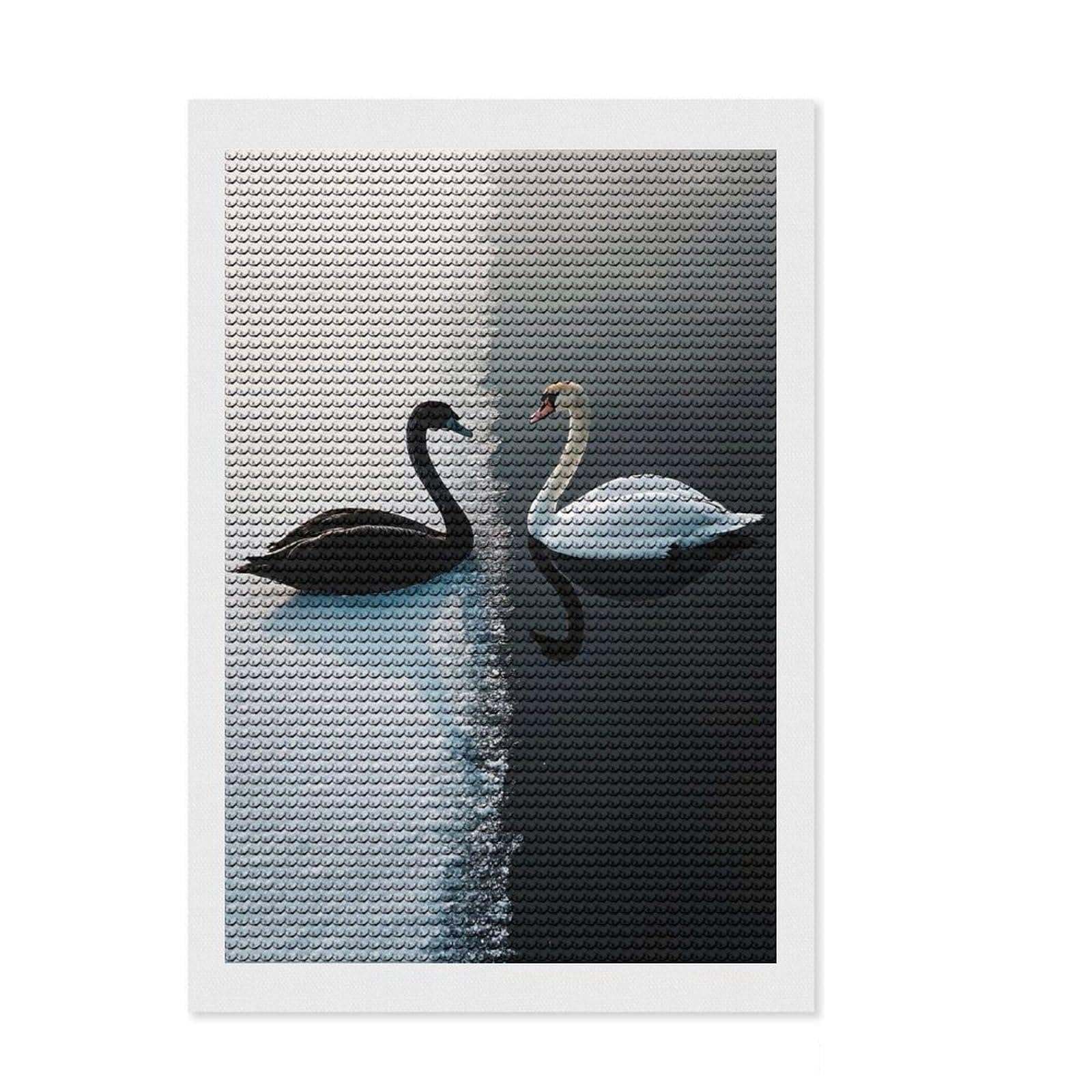 Junmoney Black and White Swans Full Drill Diamond Painting Kit 8"x12", Office Decor, for Beginners, Full Kit Included, Christmas Gift