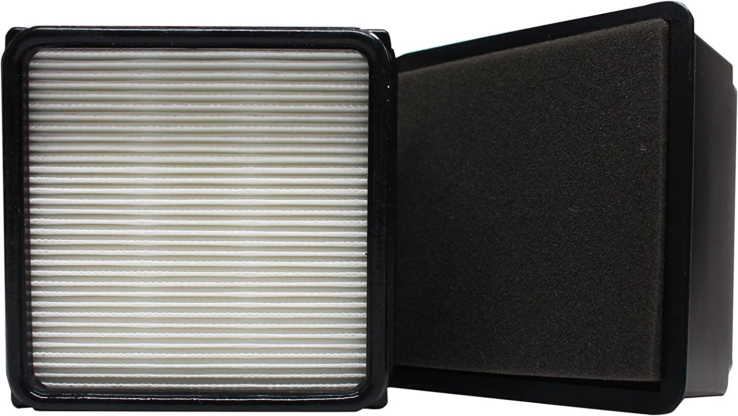 Amazon.com - 2-pack Replacement F66 Filter 304708001 Compatible