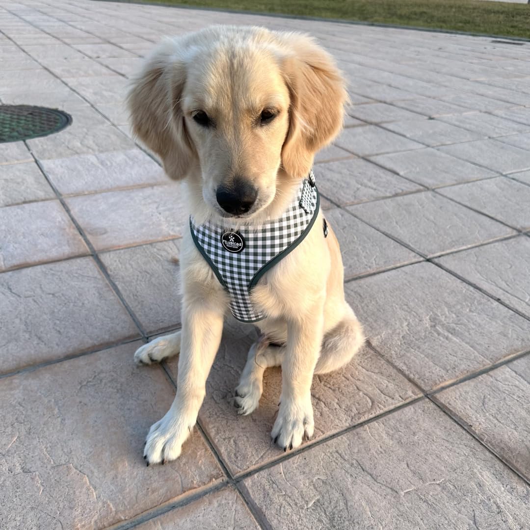 Pack Arnés,Correa y Portabolsas Caqui para Perro Ajustables de Neopreno – Diseño Vichy, Cómodos y Resistentes – 5 Tallas