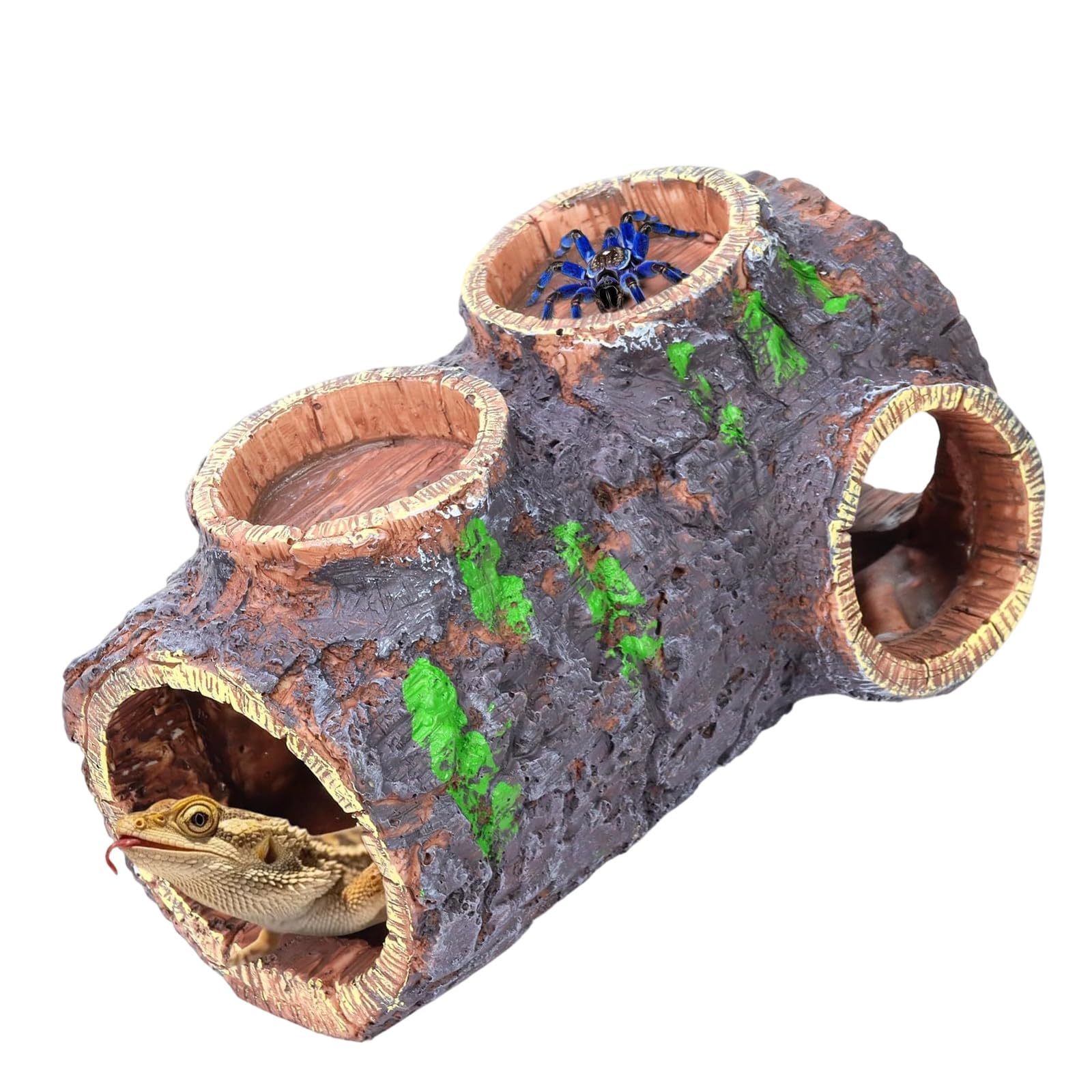 ordinarYone Hideaway Shelter Reptiles Cueva Waterer y comederos para terrarios y acuarios, mascotas reptiles escondite cueva