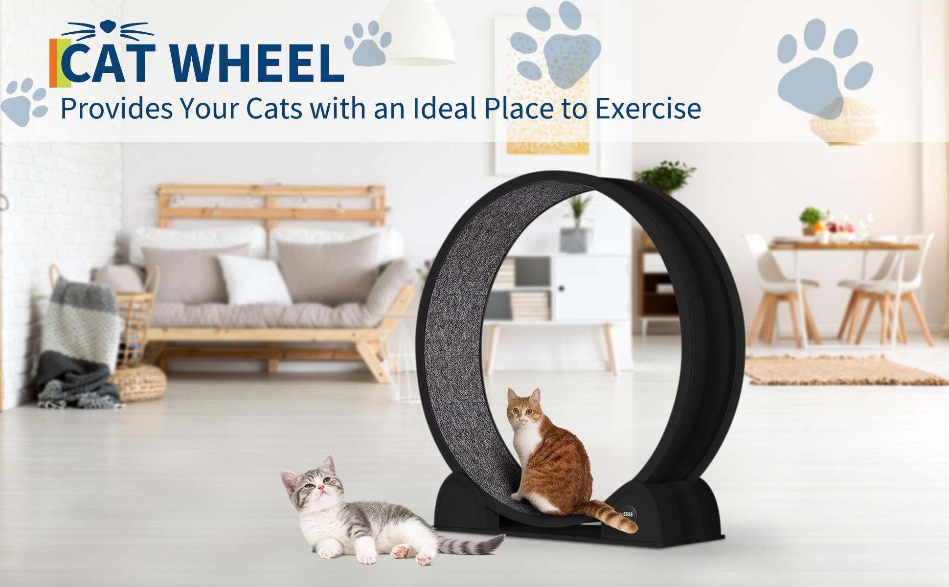 Katzenlaufrad, 114cm Laufrad mit Schrittzähler & Kratzbrett für Indoor-Katze, Super Leise Laufband mit abnehmbarem Teppich, Katzenrad für Kleines Mittel Großes Katze Gewichtsverlust & Gesundheit - Sch