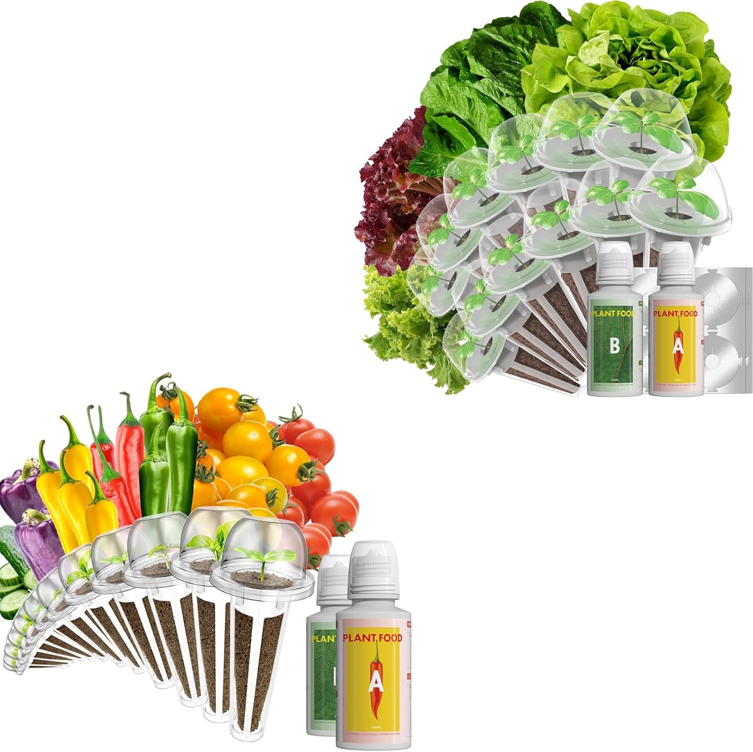 Cherry Tomato Seed Pod Kits and Romaine Lettuce Seed Pod Kits