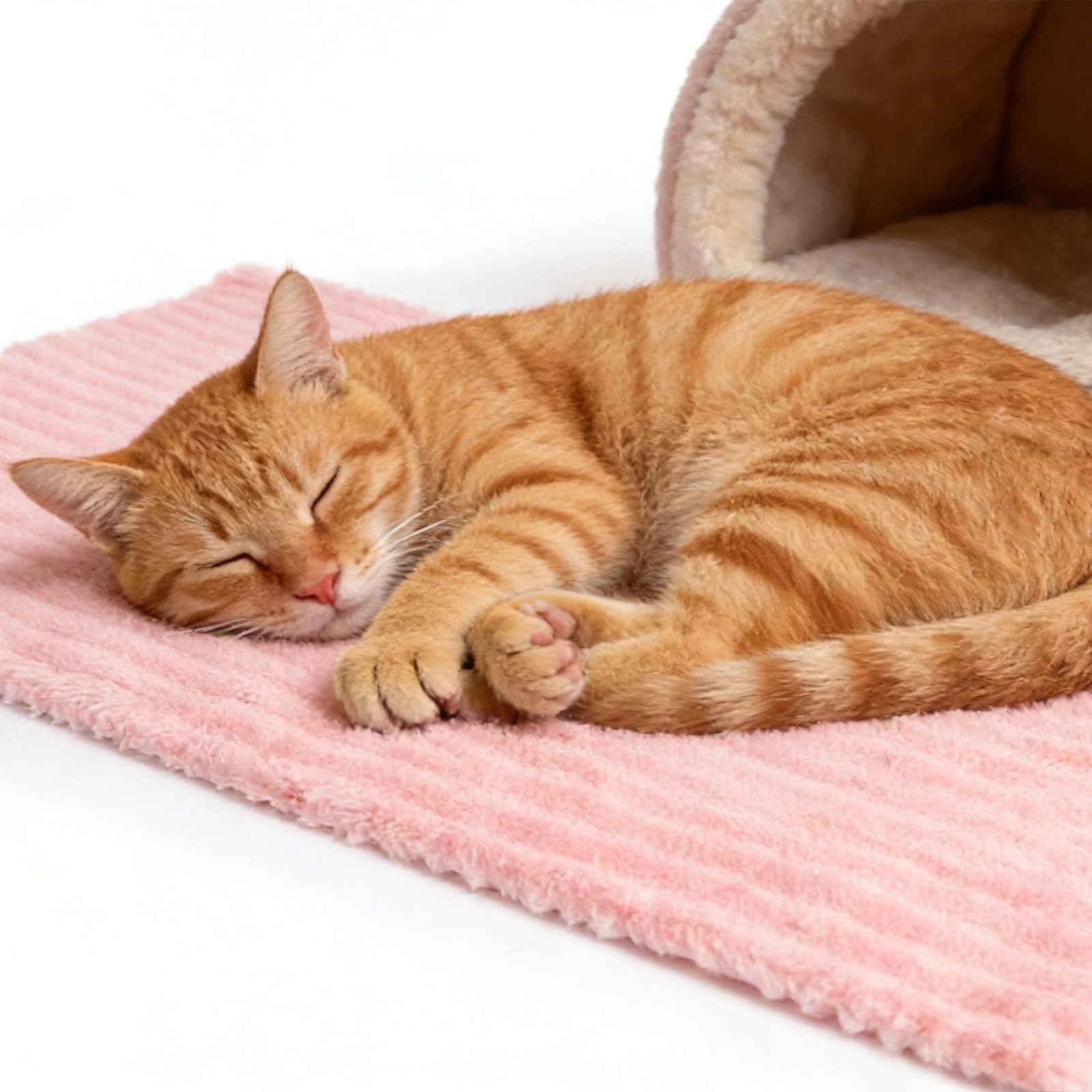 4PCS Couvertures pour Animaux en Polaire Corail, Couverture Chien Chat Lavable en Machine, Imperméable et Anti-Poils, Plaid Doux et Chaud Multi-Usage pour Maison, Canapé, Lit et Voyage