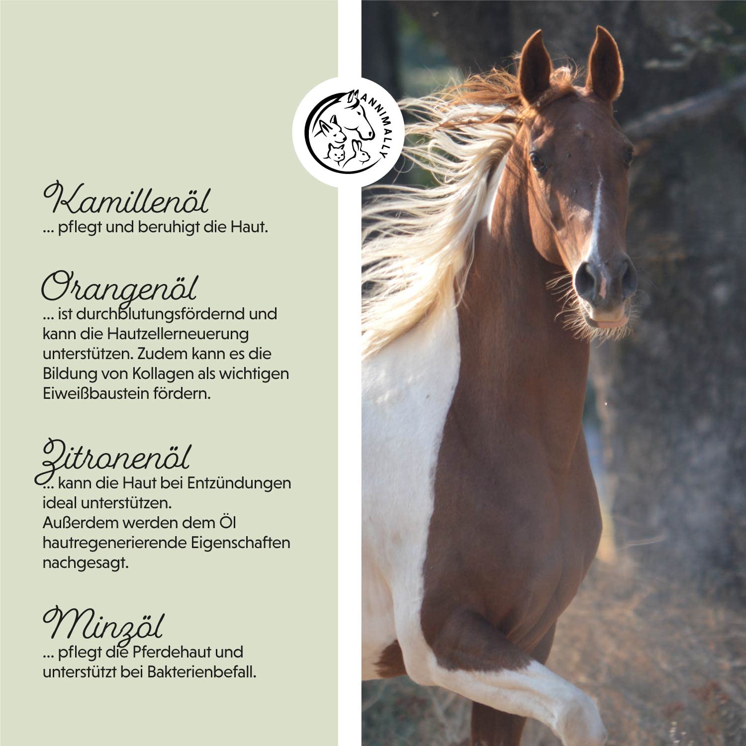 Annimally Crème de Soin Plus 500 ML pour Chevaux – Crème hydratante et apaisante avec D-Panthénol et Huile de Camomille – Soin de la Peau Sensible, sèche et sujette aux irritations