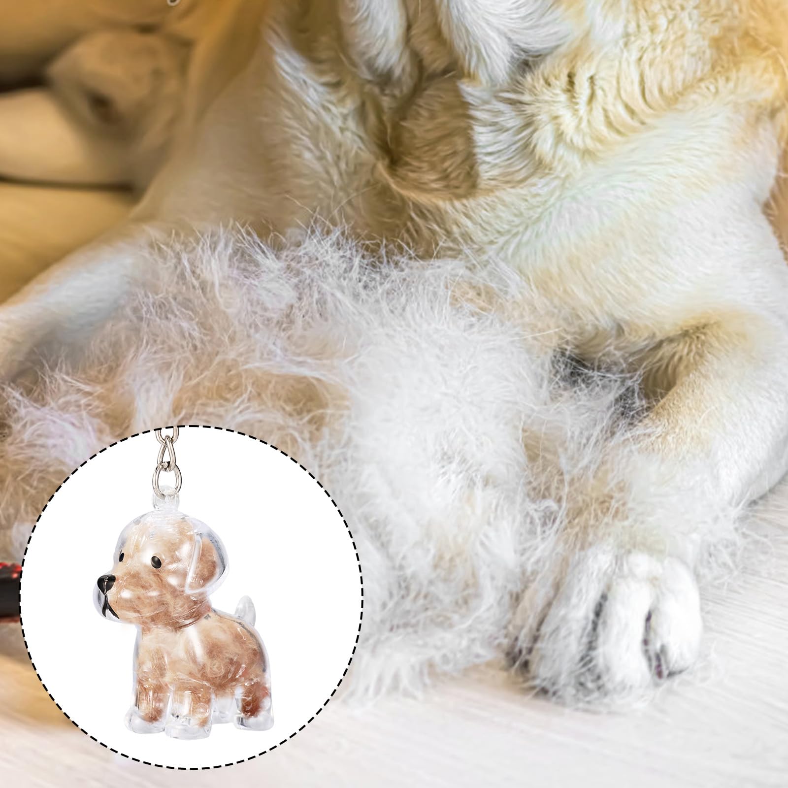 Portachiavi Commemorativo Zampa Portachiavi Per Peli Di Cane E Gatto