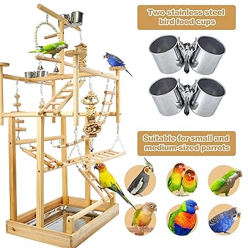 Costcogogoページ　バードアタック　バードジム Costcogogoページ バードアタック バードジム Bird Toys BNOSDM