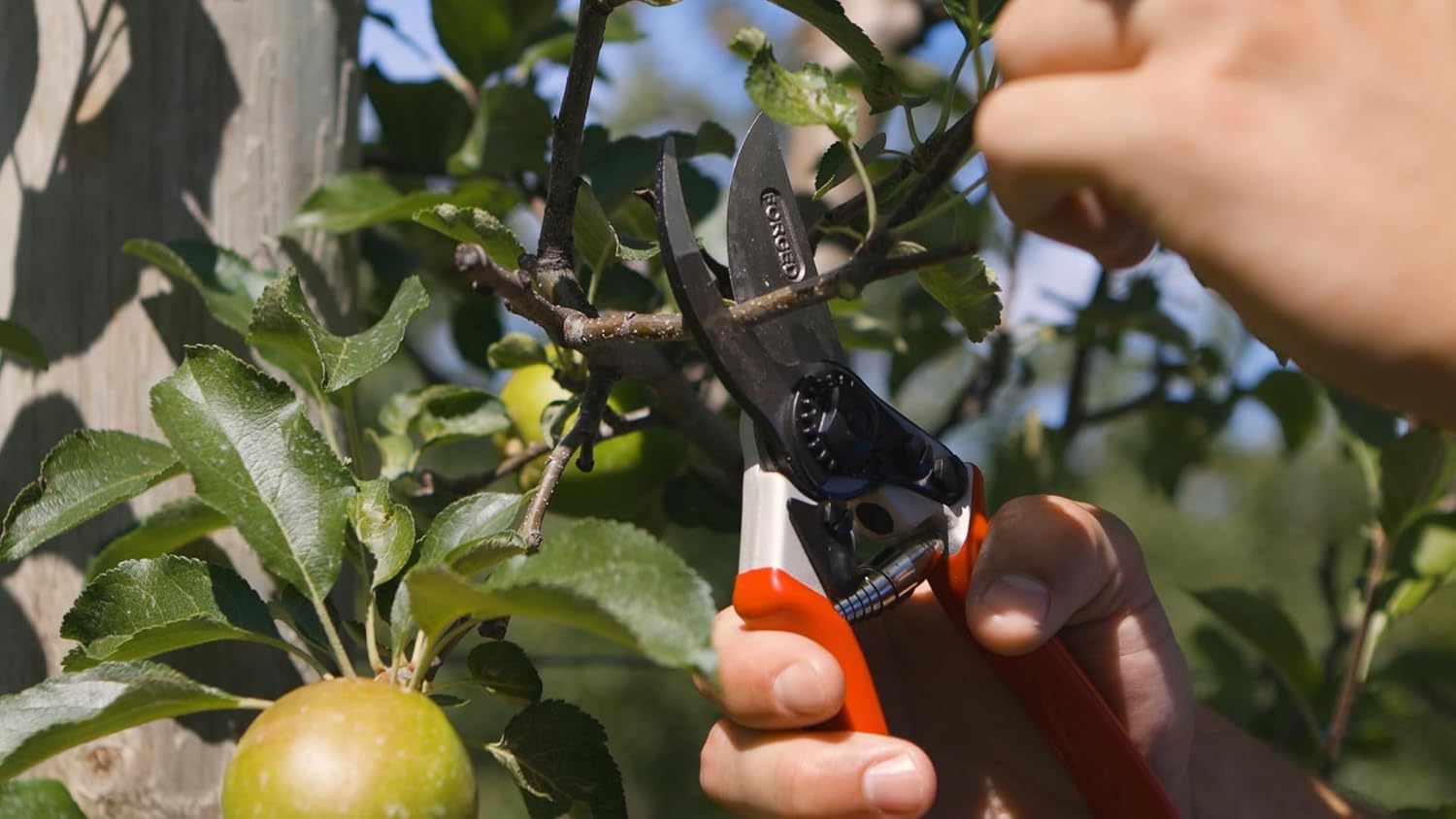 Gemplers Pro-Grade Bypass Pruner