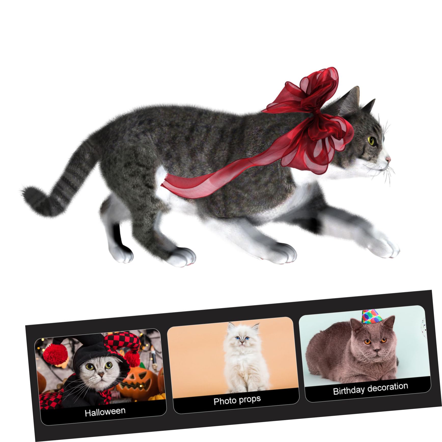 BESPORTBLE Collier Décoratif pour Chat avec Nœud Accessoire Élégant pour Animaux De Compagnie pour Fêtes Et Séances Photo