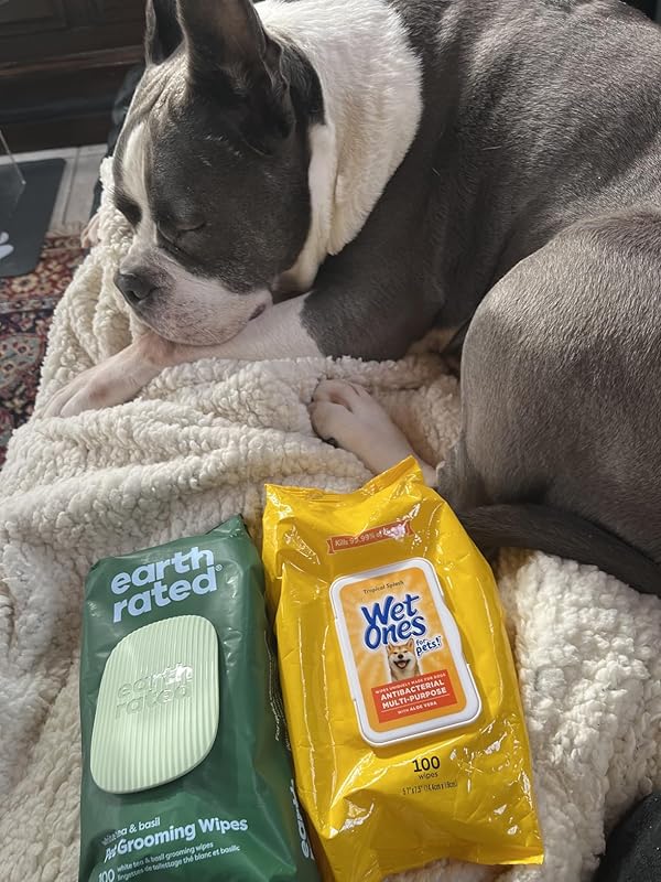 Earth Rated Dog Wipes, Hypoallergenic, Cleaning and Hydrating, for Grooming Paws, Body and Butt, Lavender Scented, 400 Count Review Image
