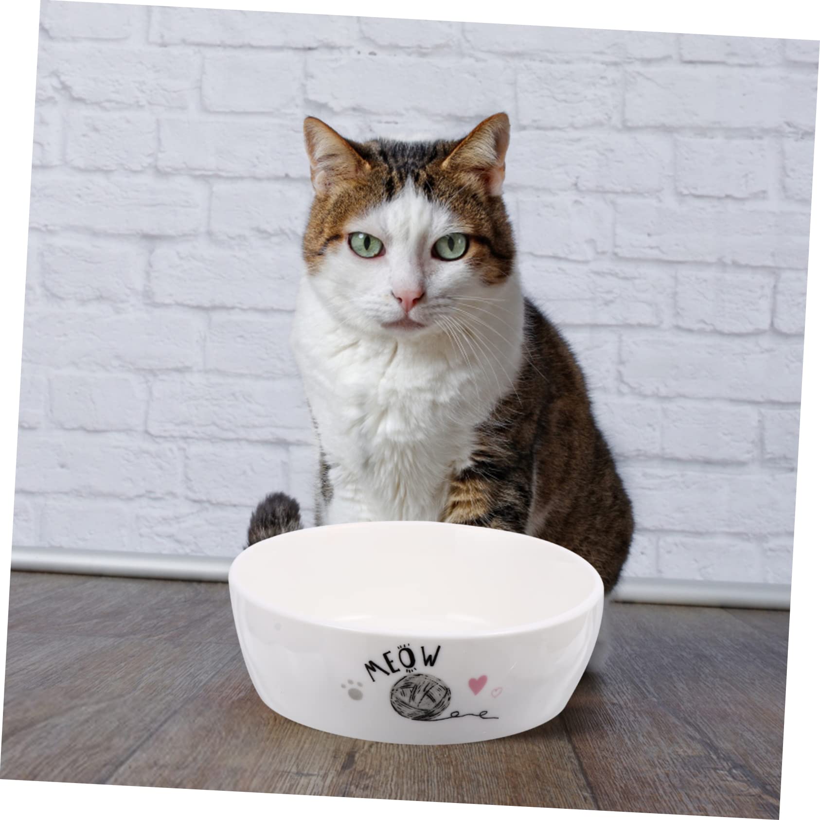 Keramik Katzennapf für Katzen und Kätzchen Leicht zu Reinigen Sicher Weiß für Täglichen Futterbedarf Zufälliger Stil