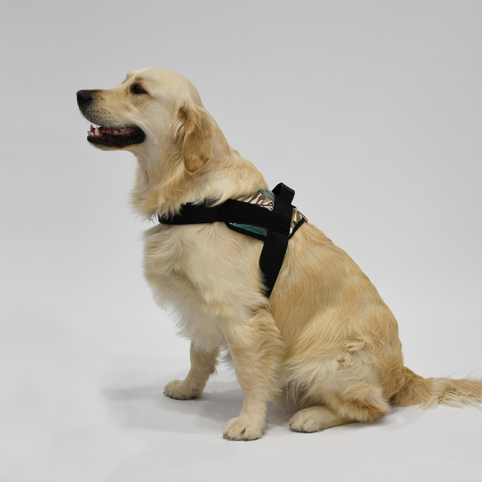 Jyoko Pets Arnés para Perro – Ajustable, Ergonómico y con Asa de Control (Safari, XL)