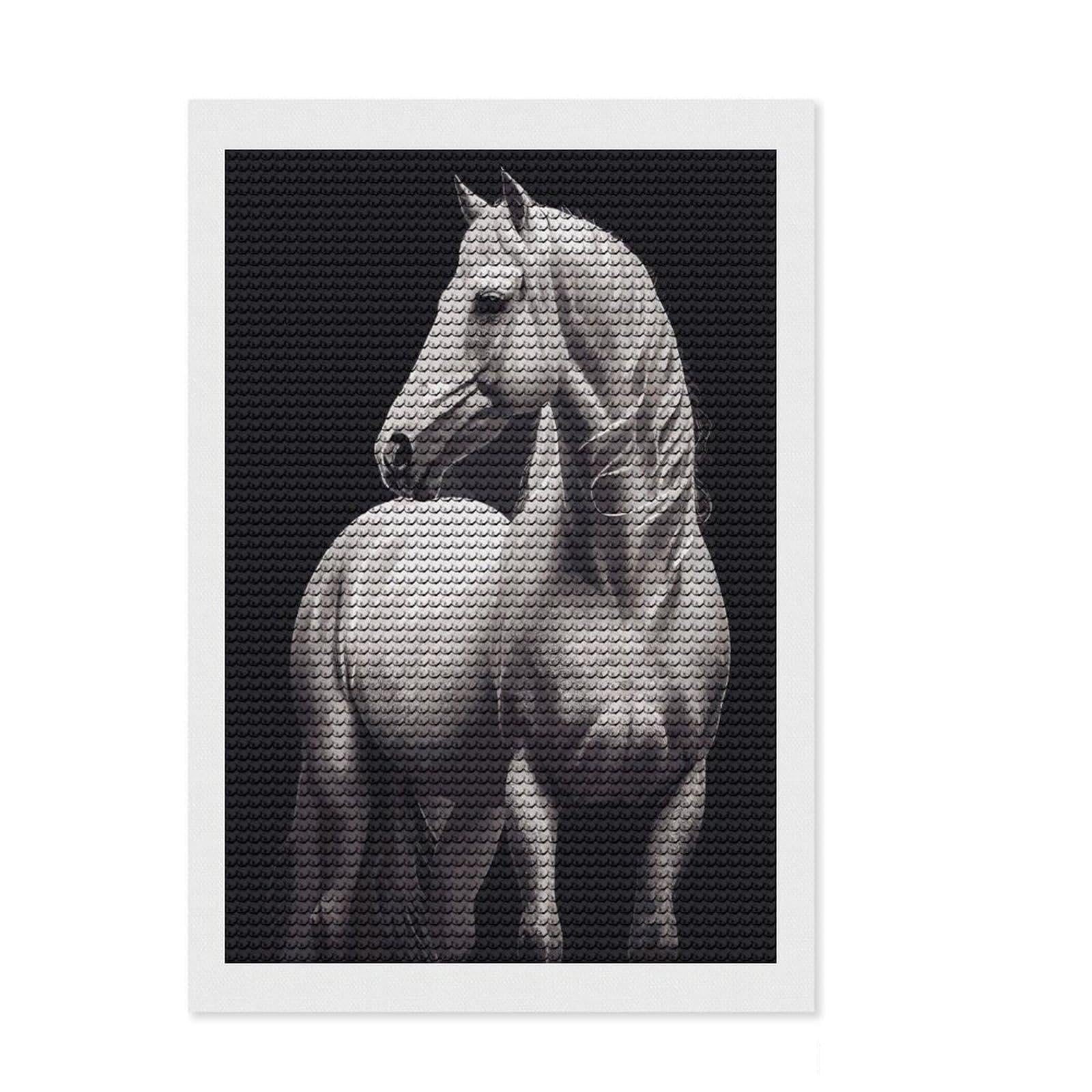 Junmoney White Horse Diamond Art Canvas 8"x12", for Women, Sparkling Round Gems, Gift Idea, Boho Decor, Satisfying Creative Project