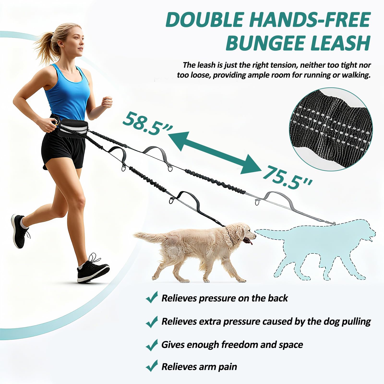 Hands Free Dog Lead for 2 Dogs, Waist Belt with Dual-Handle Shock Absorbing Leash - Image 2