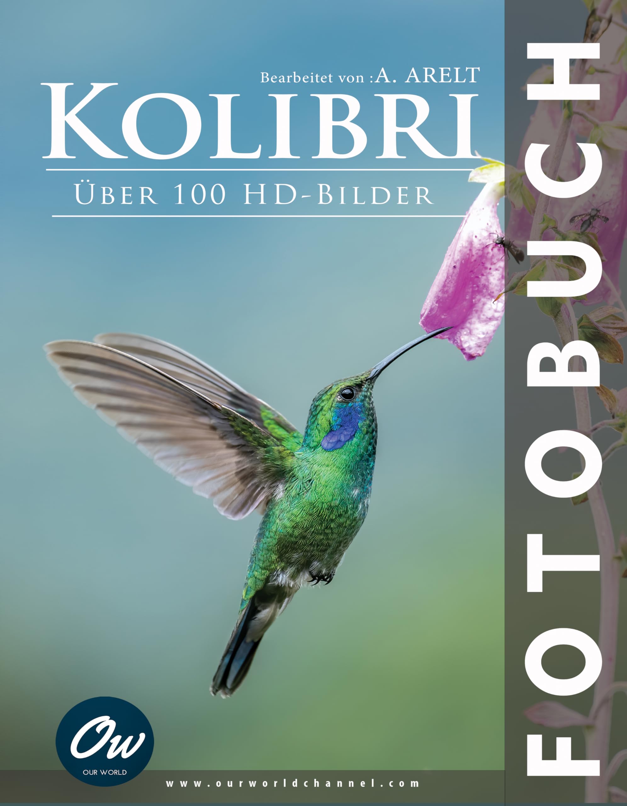 Livre photo Kolibri édition allemande album illustré pour collectionneurs et passionnés