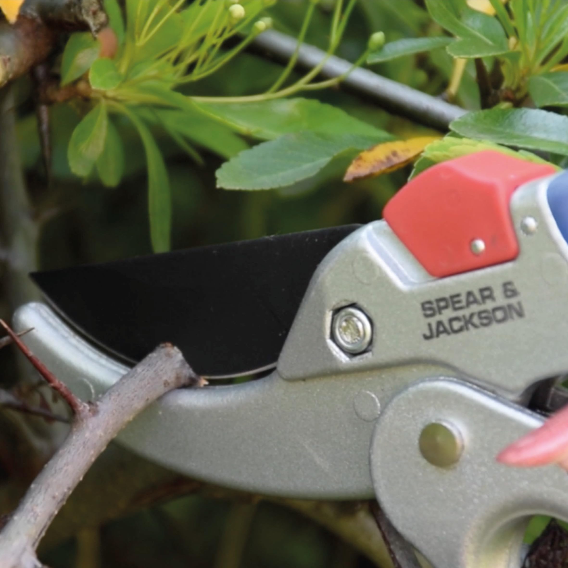 Spear & Jackson 6758GS Razorsharp Sekator kowadełkowy z mechanizmem zębatkowym