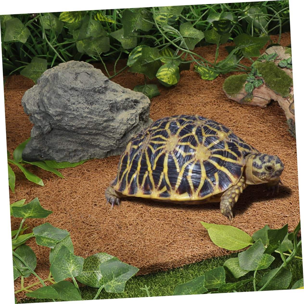 BESPORTBLE Coconut Fiber Reptile Carpet Mat Litter Mat for Lizard Tank Terrarium Substrate Liner