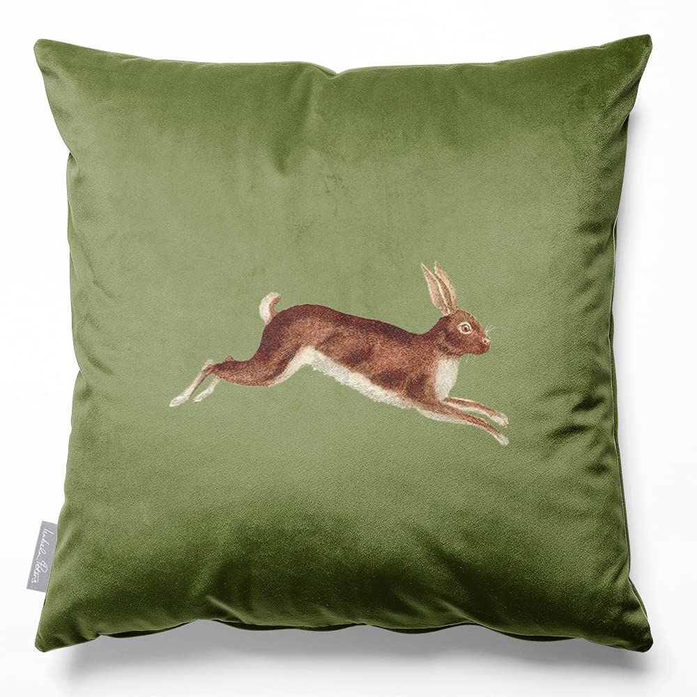 Izabela Peters Hare - Sage Velvet Cushions - Eco-Friendly, Filled, 60 Cm, Chair & Sofa Cushions