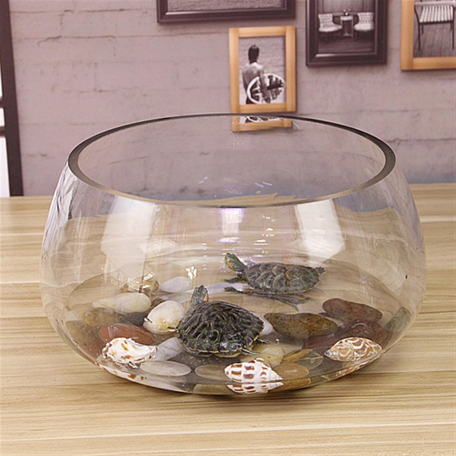 Acuario Tanque de Peces Redondo de Vidrio, Tanque ecológico pequeño for el hogar, Acuario Transparente, Escritorio, Tanque De Agua de Tortuga for el hogar, plantación Peces Acuario(Grande)