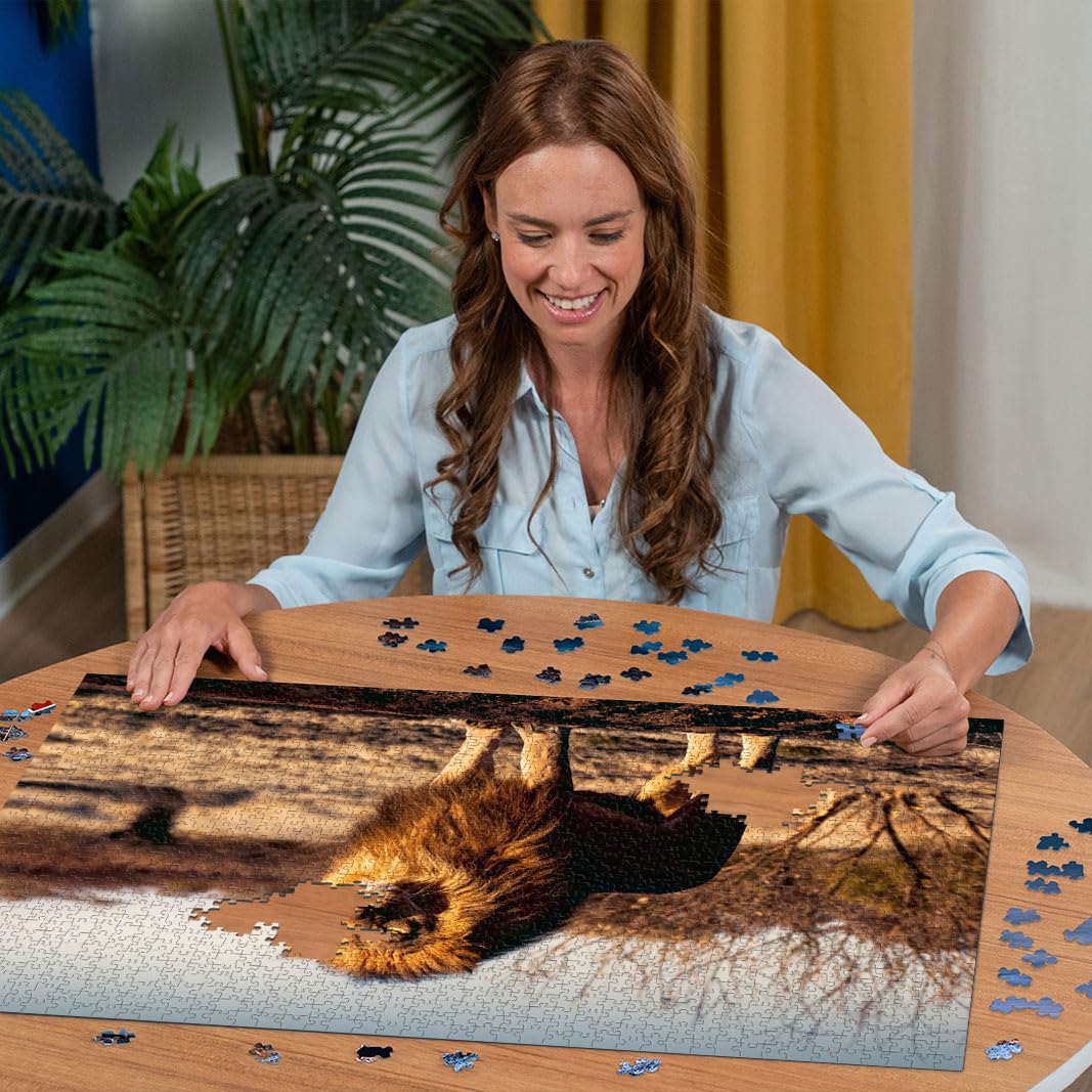 Puzzle 1000 Piezas Familia De Leones - 70x50 Cm, Cartón Reciclable, Incluye Póster De Referencia