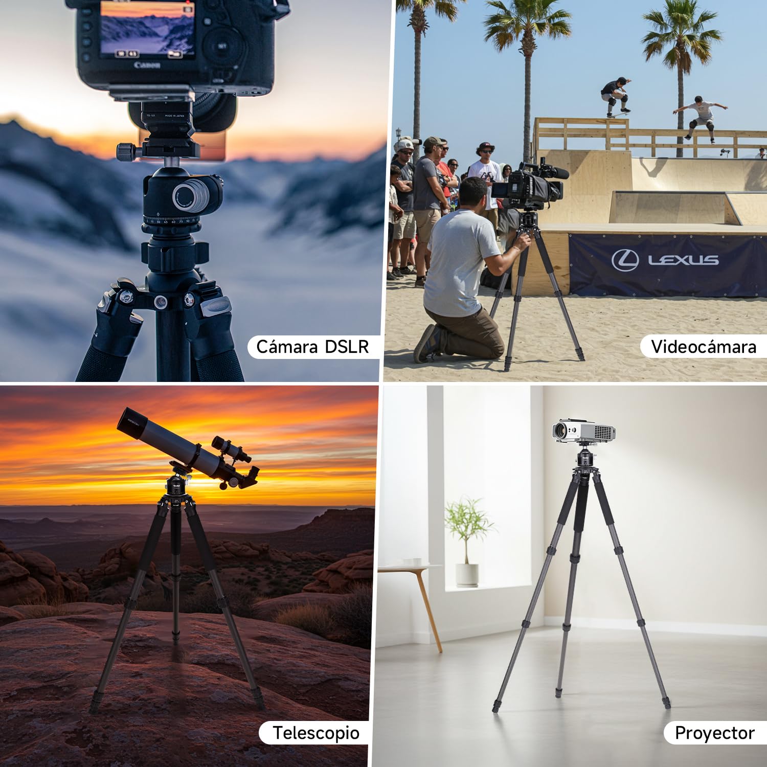 Rollei 166cm Tripode Cámaras Carbono Profesional Rock Solid Alpha Mark III | Trípode Fotografia con Capacidad de Carga de 30kg Camera Tripod Negro con Rótula Ajustable para DSLR Videocámara