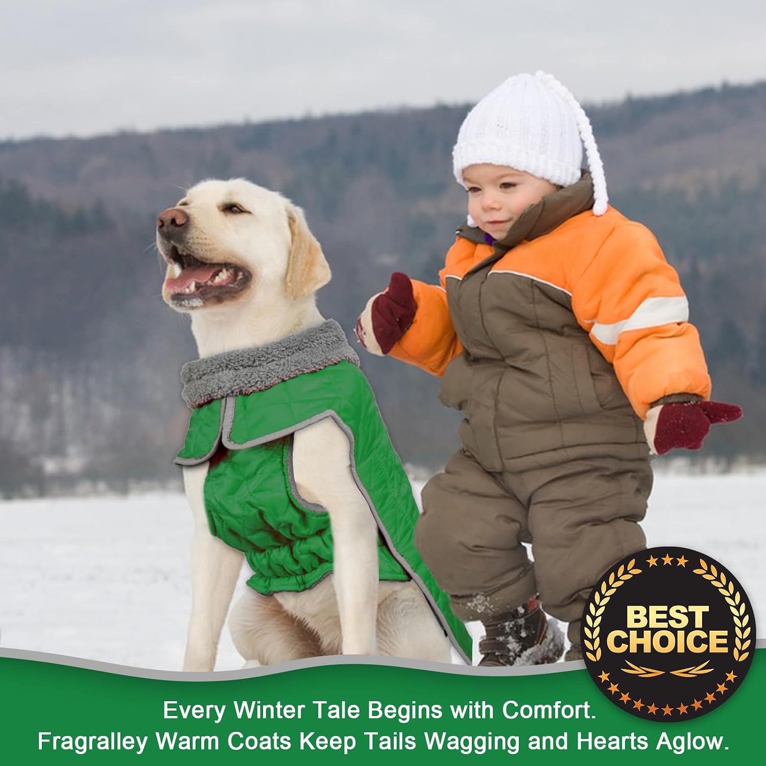 Fragralley Dog Winter Coat, Waterproof Windproof Reflective Fleece Jacket with Harness Hole, Warm Snow Vest for Small Medium Large Dogs​, Ideal Gifts