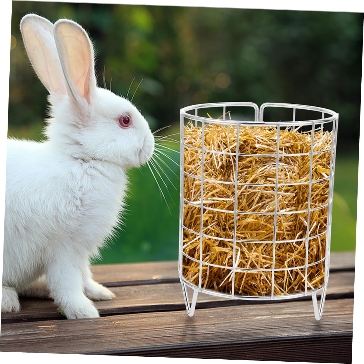 SUPVOX 6piezas Comedero para Conejos De Metal Accesorios Prácticos para Alimentación De Mascotas para Conejos Cobayas y Chinchillas