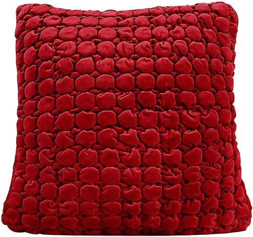 Vista 100 de Juego de 2 fundas de almohada bohemias de 18 x 18 pulgadas, fundas de almohada decorativas de estilo rural de terciopelo, fundas de cojín cuadradas