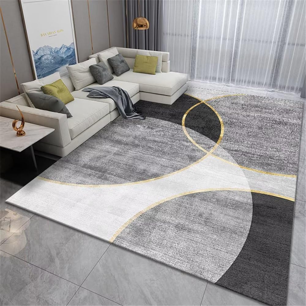 Moquette interieur rugs tapis chambre gris 80x160cm doux et design