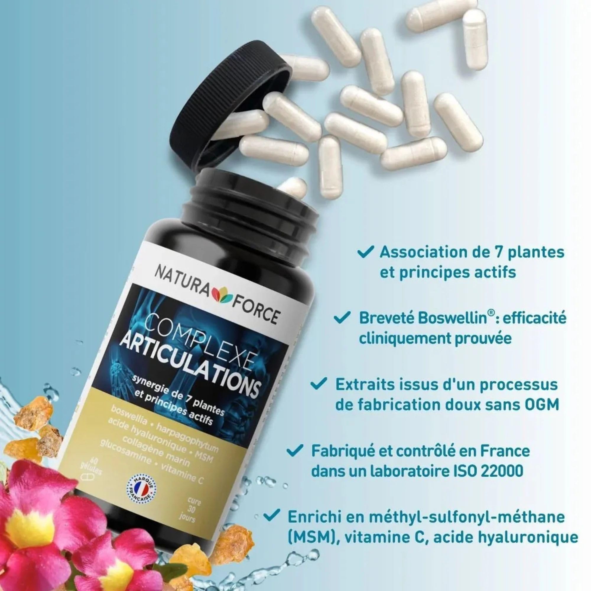 Complexe Articulations - 7 plantes et principes actifs hautement titrés - la santé articulaire - Soulagement des symptômes de l’arthrose légère à modérée - Boite de 60 Gélules, Paquet de 1