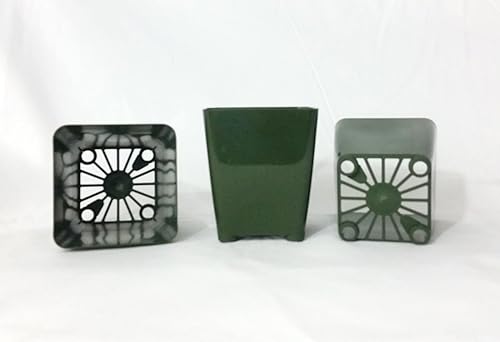 Miniatura 5 de Paquete de 20 macetas cuadradas de plástico para plantas, 3.25 pulgadas. Color verde oscuro