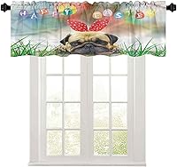 Vista 8 de Cortinas de cenefa, 36 pulgadas de ancho x 18 pulgadas de largo, discos de gramófono y casetes de audio antiguos en mesa de madera, nostalgia