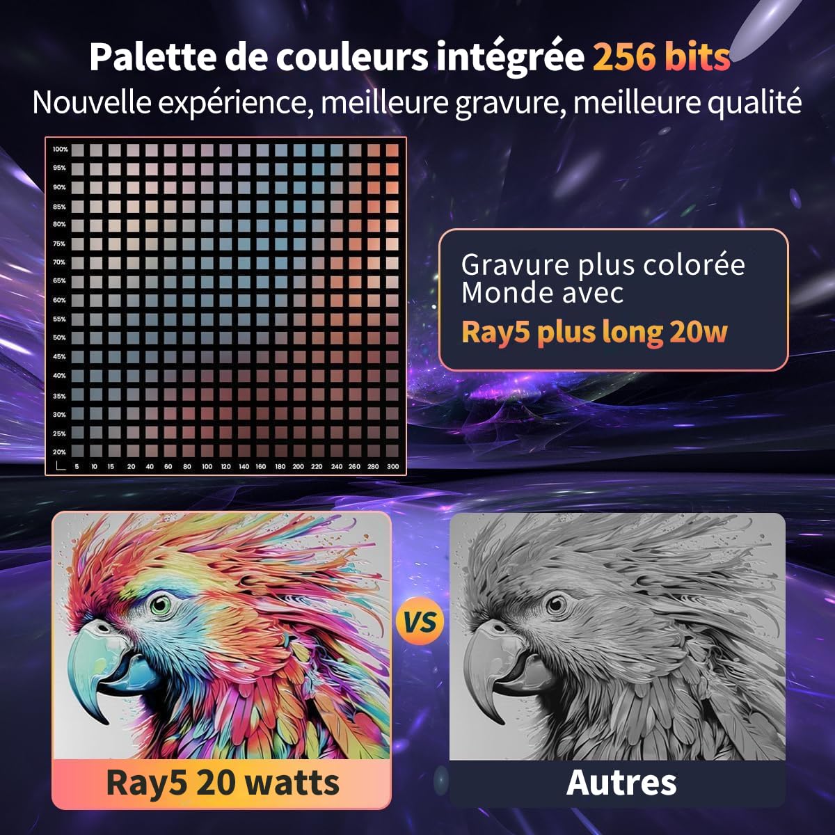 Longer RAY5 20W Graveur Laser,Contrôle hors ligne via App, Outil de Gravure pour Métal/Verre/Bois, Vitesse de gravure de 24 000 mm/min