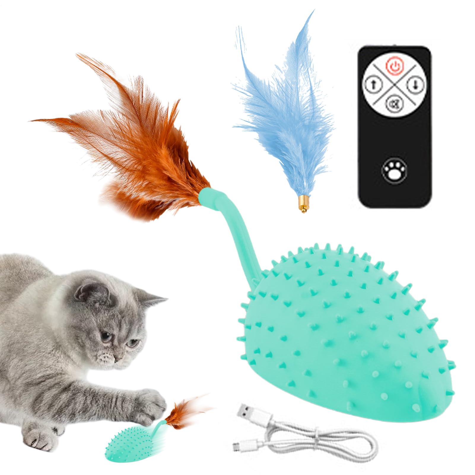 Jouet à distance pour chaton d'intérieur avec sons pour grand chat